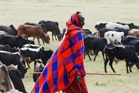 15 Things You Didnt Know About The Maasai People Afktravel
