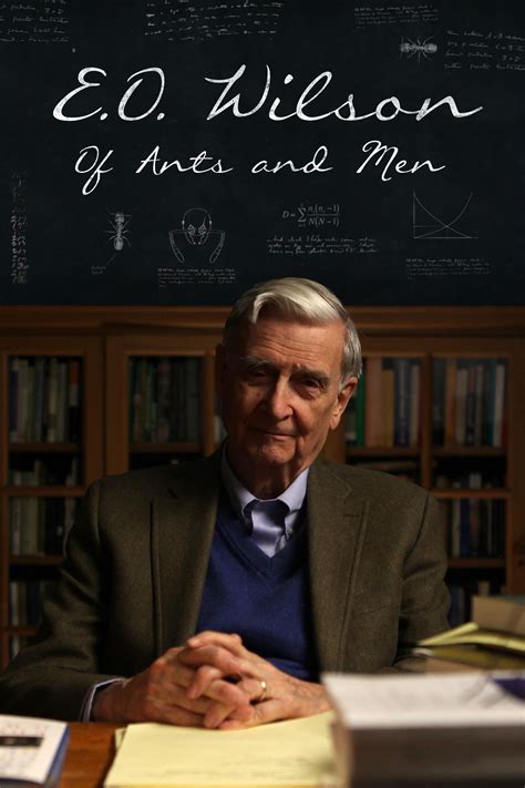 Eo Wilson Of Ants And Men 2015 Posters — The Movie Database Tmdb