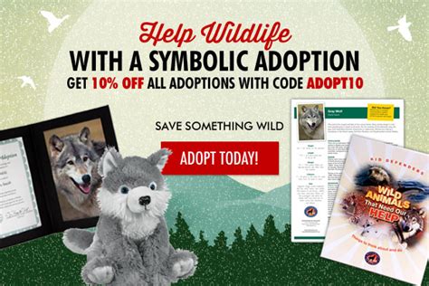 Adopt A Gray Wolf Defenders Of Wildlife