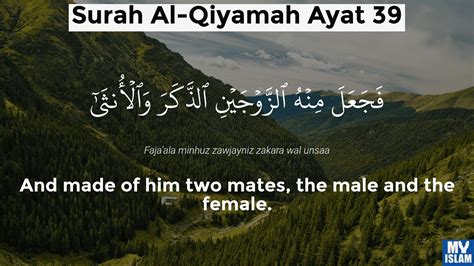 Surah Qiyamah Ayat 39 7539 Quran With Tafsir My Islam