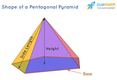 Pentagonal Pyramid Formulas Properties Definition Examples En