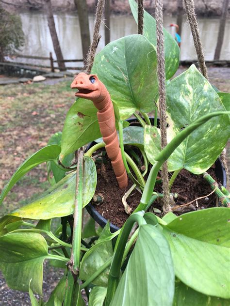 Worms For Your Gardenwater Sensor Wormgarden Worm Decoration Potted