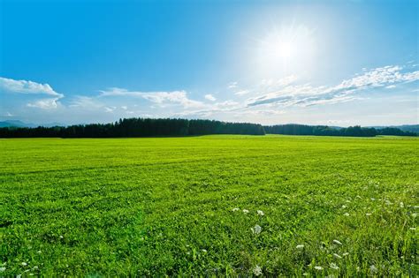 Green Field Landscape Free Stock Photo Freeimages