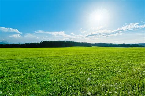 Fields of greens pružiti će vašem organizmu vitamine, minerale, proteine, aminokiseline, enzime, antioksidanse i klorofil koji vam nedostaje. Free Green Field Landscape Stock Photo - FreeImages.com