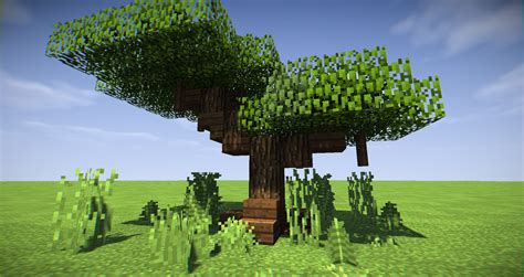 If Youre Lazy Like Me Acacia Trees Are Great For Custom Trees R