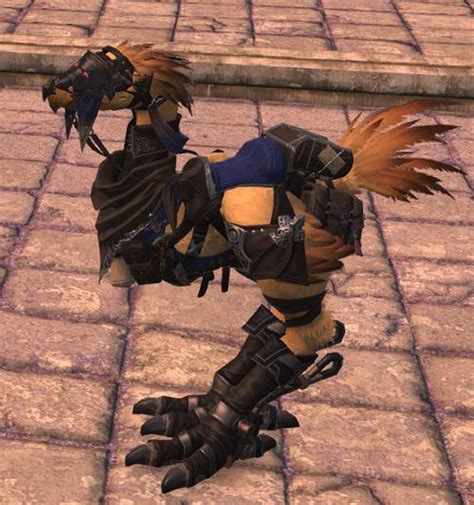 Ffxiv Chocobo Barding Guide Updated Patch 61 Late To The Party