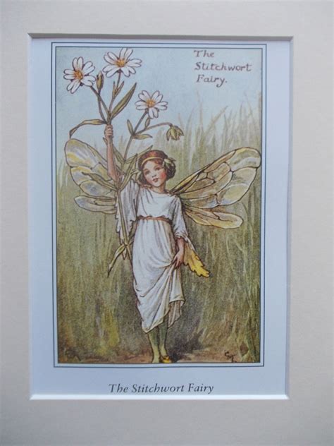 Stitchwort Flower Fairy Fairies Cecily Mary Barker In 10in X Etsy