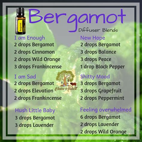 Bergamot Essential Oil Mixtures Essential Oil Combinations Essential
