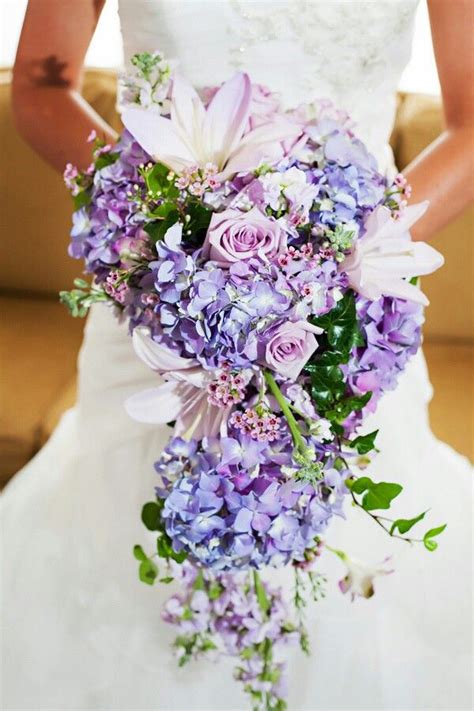 beautiful cascading bridal bouquet which is arranged with purple jumbo hydrangea pastel l