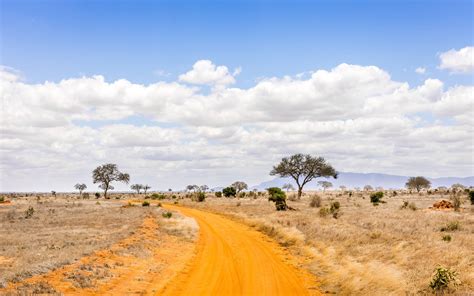 A picture of broken screen with special resolution. Safari Road In Kenya Savannah Landscape Photography 4k ...