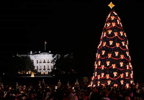 Photos The National Christmas Tree Through The Years