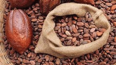 Cocoa Farmers Encouraged To Produce Chocolate Products At Home Post