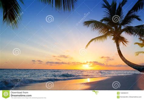 Art Beautiful Sunset Over The Tropical Beach Stock Photo