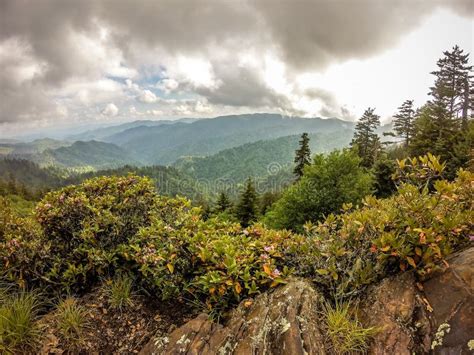 Scenes Along Appalachian Trail In Smoky Mountains North Carolina Stock