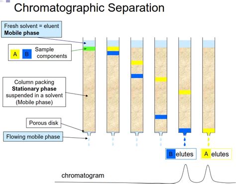 Chromatographic Separation Picture Biological Science Picture