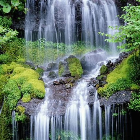Travelocity has deals on tempting cabin rentals in watkins glen starting at $99 pera night. Log Cabins Near Watkins Glen, New York | USA Today