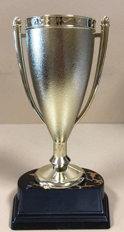Speedy Awards And Engraving Inc Cupachievement Trophies