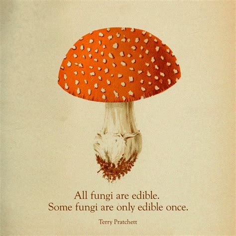 All Fungi Are Edible Some Fungi Are Only Edible Once Fungi Man Vs