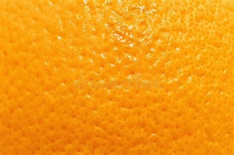 Surface Texture Of Tangerine Stock Image Image Of Orange Oranges