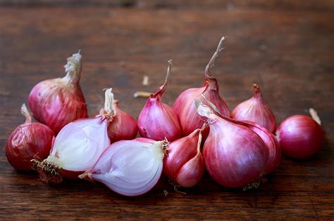 How To Plant And Grow Shallots Gardeners Path