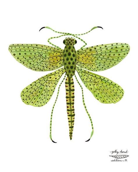Damselfly Specimen Print Insect Art Dragonflies Entomology Green Watercolor Reproduction