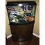 40 Gallon Bow Front Tank With Stand And Accsessories  EBay
