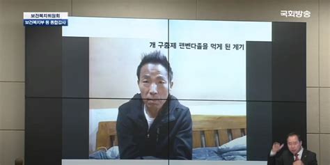 그는 저는 개인적으로 분명 실패했다고 했다. '개 구충제 복용' 김철민, 국감서 "되레 암 커져...현혹되기 ...