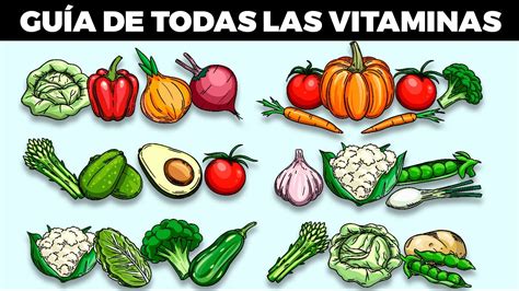 La guía definitiva de las 13 vitaminas que tu cuerpo necesita YouTube