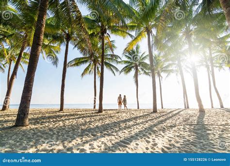 Couple Standing On Sandy Beach Among Palm Trees On Sunny Morning Stock