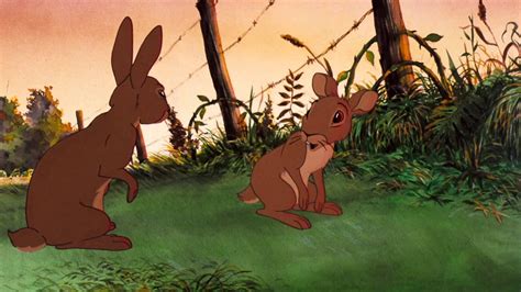 Watership Down Tv Series 1999 2001