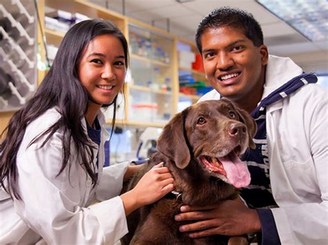 Colleges With Pre Vet Programs In California Collegelearners