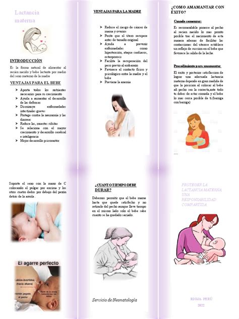 lactancia materna triptico pdf amamantamiento pecho