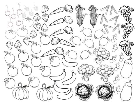 fruits  vegetables coloring pages  kids printable   fruits