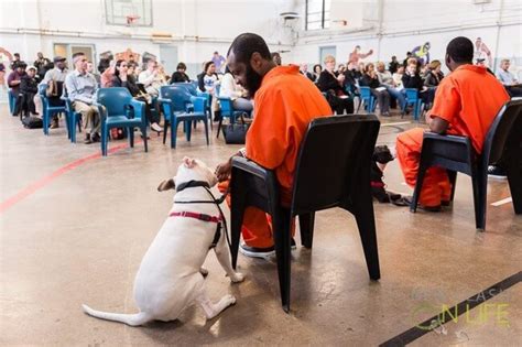 New Leash On Life Program Going To Prison Was The Best Thing That