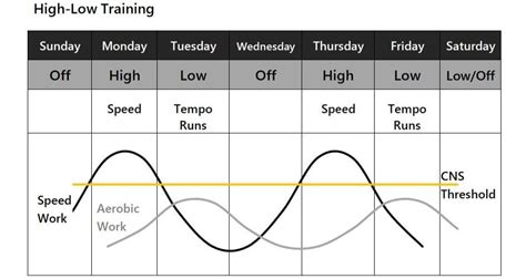 Tempo Running All You Need To Know — Coaching Matters