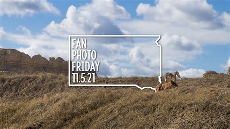 Fan Photo Friday Nov 5 2021 Black Hills And Badlands South Dakota
