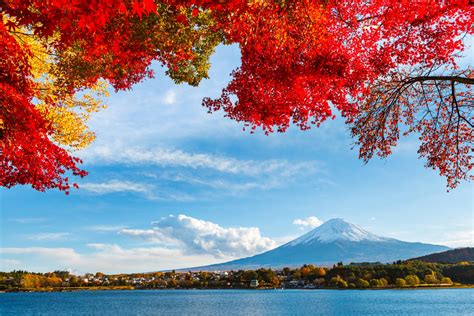 Japan Fuji Sky Clouds Mountain Snow Leaves Autumn Lake