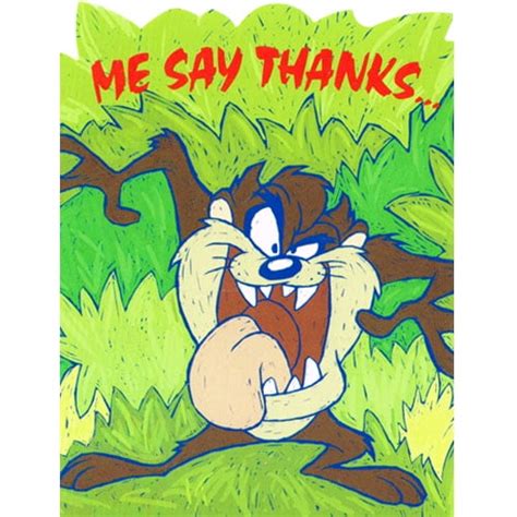 Looney Tunes Taz Me Say Thanks Thank You Notes W Envelopes 8ct