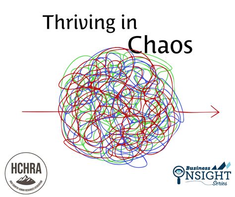 Business Insight Series Thriving In Chaos