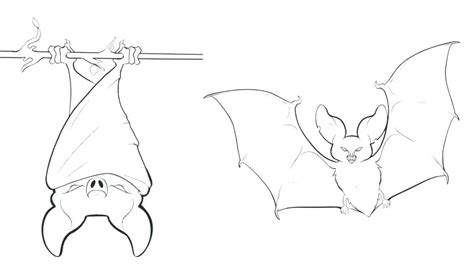 Vampire Bat Coloring Pages At Free Printable