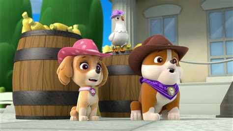 Paw Patrol Pups In Diapers