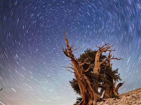 The Best Places To Go Stargazing In America According To An Expert
