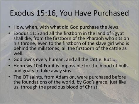 Exodus Chapters 15 And 16