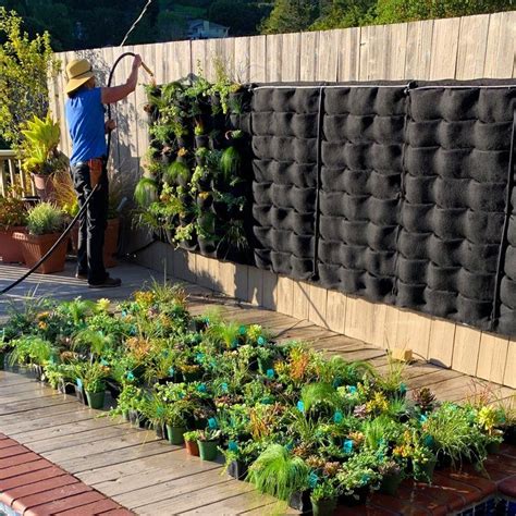 Florafelt Pocket Panels Design Ideas — Florafelt Living Wall Systems In