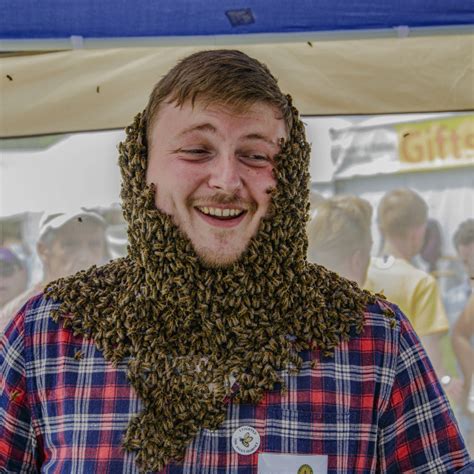 Bee Beard License Download Or Print For £1600 Photos Picfair