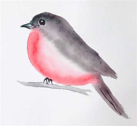 Un Oiseau à Laquarelle En 3 Minutes Chrono Peinture Aquarelle Facile