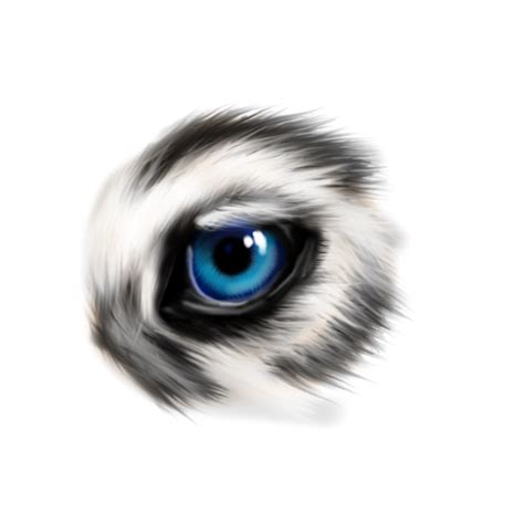 Wolf Eye Sketch At Explore Collection Of Wolf Eye