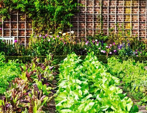 How To Create An Urban Garden That Fits In Your Space Republic Of Green