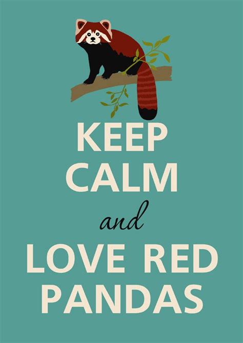 Keep Calm And Love Red Pandas By Kcalmgallery On Etsy Animals And Pets