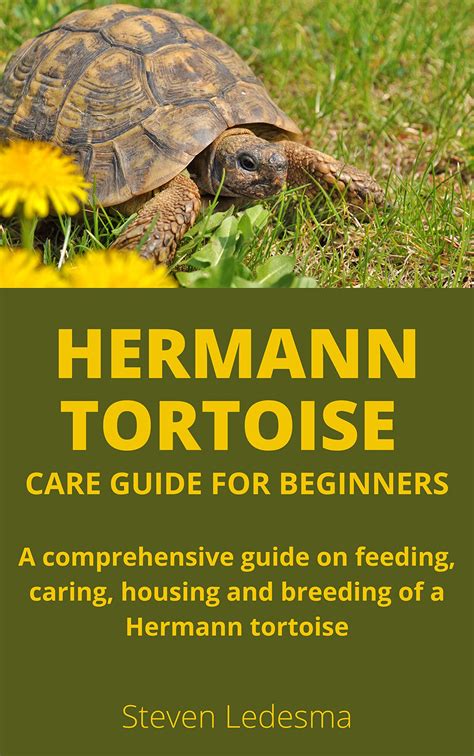 Hermann Tortoise Care Guide For Beginners A Comprehensive Guide On